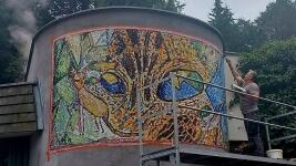 mozaika zoo fb 784796509 1053887017410074 3162308076422214548 n